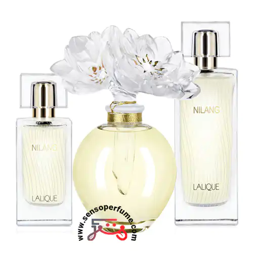 عطر ادکلن لالیک نیلانگ